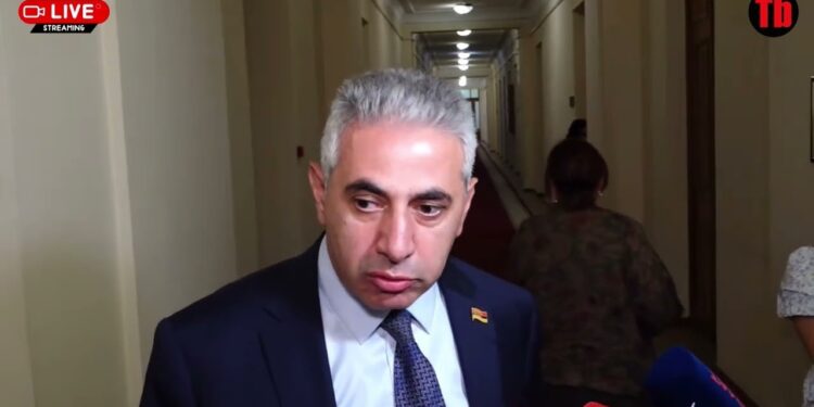 Ռուբինյանը մի քիչ լավ չի պատկերացնում, ջահել ա․ Ղազարյան