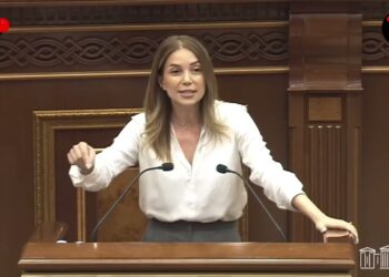Գոմ էր էդ տարածքը, դուք ավելի լավ ա կոկորդիլոսներից խոսեք, պարոն Սարգսյան, դուք էնտեղ ավելի հետաքրքիր եք