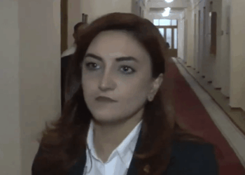 ՔՊ-ի խոսքերը լսելու ցանկություն չունեի, գիրք էի կարդում. Սյուզան Ավետիսյան