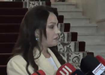Նման չեմ կնոջ, որն ինչ-որ մեկի աջակցության կարիքն ունի, ինքս եմ աջակցում հազարավոր կանանց. Մանուկյան
