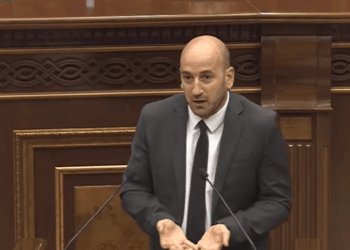 Մոլերում անվճար տեղ տվեք, թող գյուղացին գնա դեղձ ծախի․ ՔՊ-ականի առաջարկը