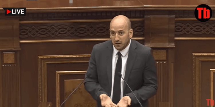 Մոլերում անվճար տեղ տվեք, թող գյուղացին գնա դեղձ ծախի․ ՔՊ-ականի առաջարկը