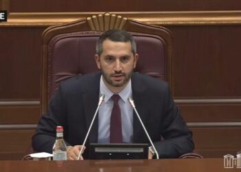 Իրինա Յոլյանը չընտրվեց հանձնաժողովի նախագահ