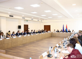 Հայաստանը հաստատակամ է լիարժեք իրականացնել ՀՀ-ԵՄ վիզաների ազատականացման գործողությունների ծրագիրը