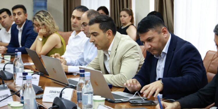 Տեղական արտադրանքի առաջխաղացումն ու վճարումների ուշացումները՝ ՓՄՁ զարգացման ենթախորհրդի օրակարգում