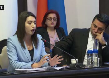Աննա Հակոբյանը արշավ է սկսել․ Արփինե Սարգսյանը ներկայացնում է նրա նախագիծը կառավարությունում