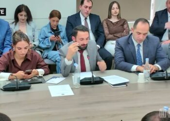 Էս օրենքը պիտի չեղարկվի, բազմաթիվ խնդրահարույց կետեր ունի. Մնացականյան