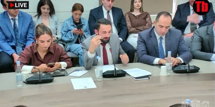 Էս օրենքը պիտի չեղարկվի, բազմաթիվ խնդրահարույց կետեր ունի. Մնացականյան