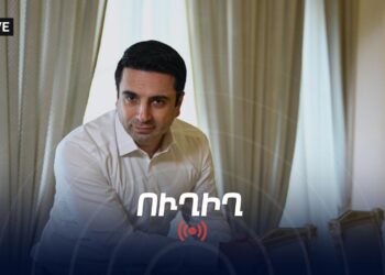Ալեն Սիմոնյանի ճեպազրույցը․ ՈՒՂԻՂ