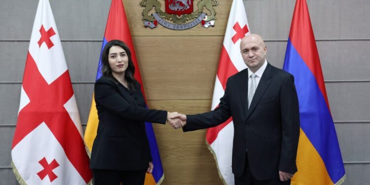 Հանցավորության դեմ պայքարն ու տարածաշրջանային խաղաղությունը՝ Սարգսյան–Թամազաշվիլի հանդիպման օրակարգում