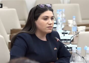 Սյունիքի ռազմավարական դիրքերը հանձնվել են Ադրբեջանին․ Անուշ Միրզոյանը թվարկեց ՔՊ–ի հանձնած տարածքներ