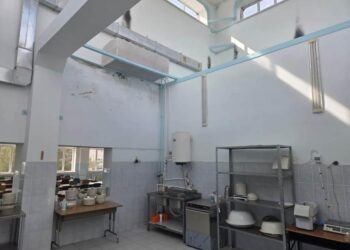Բորբոս, կոտրված սալիկներ․ կասեցվել է Ամասիայի դպրոցի սննդի օբյեկտի աշխատանքը