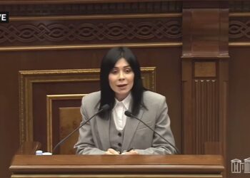 Հարկեր թաքցնելու ֆենոմենալ պայքար եք մղում. Ագնեսա Խամոյան