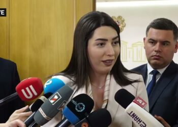 Երկրորդ գիծ կանգնելով՝ պատրաս՞տ են տուգանվել ու զրկվել բալերից, անձը պիտի մտածի․ ՆԳ նախարար