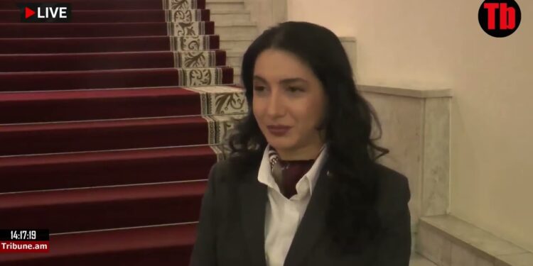 Ձեռքիս տակ են Փաշինյանի բռնության կոչերը, Ռուբինյանի արդարանալն անօգուտ է