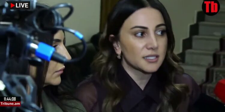 Իրար քաշքշում են հասուն պատգամավորները, ի՞նչն էր աննորմալ ըտեղ․ Մանավազյան