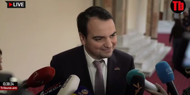 Կցկտուր տվյալները շատ մտահոգիչ են, ինչ խոսք է տվել՝ թող անի․ Նարեկ Կարապետյան
