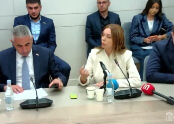 Էդ ի՞նչ որոնողական աշխատանք եք տարել, որ չեք գտել ադրբեջանցուն․ Աննա Գրիգորյան
