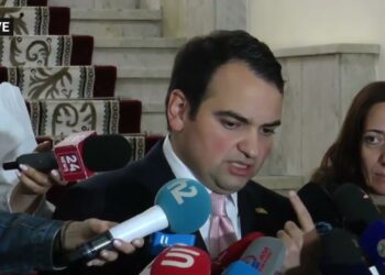 Եկեղեցու մասին օրակագով ուզում են շեղել Շաքիի դեպքերը. Կարապետյան