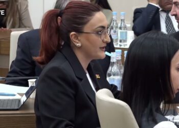 Ադրբեջանից էլ հովիվ կմոլորվի, մեր կողմից էլ, եթե պատ չենք շարի, ասենք վսյո, հակամարտությա՞ն ենք գալի