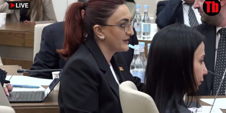 Ադրբեջանից էլ հովիվ կմոլորվի, մեր կողմից էլ, եթե պատ չենք շարի, ասենք վսյո, հակամարտությա՞ն ենք գալի