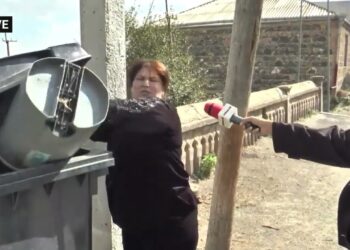 Դե երեխայա ծեծել ա, եսիմ, երկուսն էլ լավ ընտանիք են. ազգական