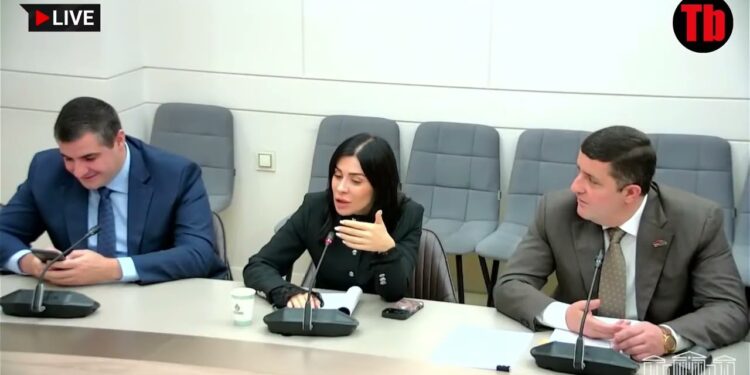 Մասնագետները մասնագիտացված են ջրային, այլ ոչ թե հողային կառավարմամբ, ես չեմ պատկերացնում․ Խամոյան