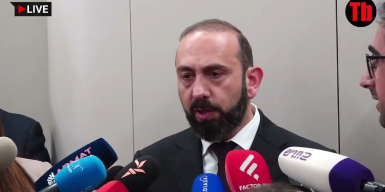 Ես ասեցի մոլորվե՞լ է ադրբեջանցի զինվորը, ձե՞ռ եք առնում. Միրզոյան