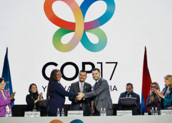 Համբարձում Մաթևոսյանն ընտրվել է COP17-ի նախագահ