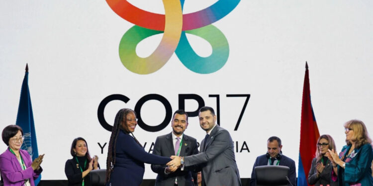 Համբարձում Մաթևոսյանն ընտրվել է COP17-ի նախագահ