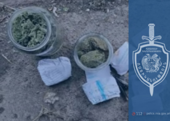 Շիրակի մարզում քրեական ոստիկանները մոտ 1 կգ մարիխnւանա են հայտնաբերել
