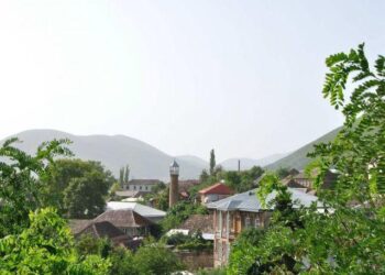 Գյուղացին այլևս իր տանը, իր հողում պաշտպանված չէ. «Ուժեղ Հայաստանը»՝ Շաքիի դեպքի մասին