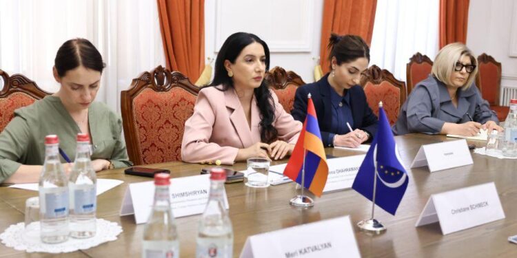 Դեղերի շուկայի փոփոխության առաջարկ․ «Ուժեղ Հայաստանը» ցանկանում է պարզեցնել ԵՄ դեղերի ճանաչումը